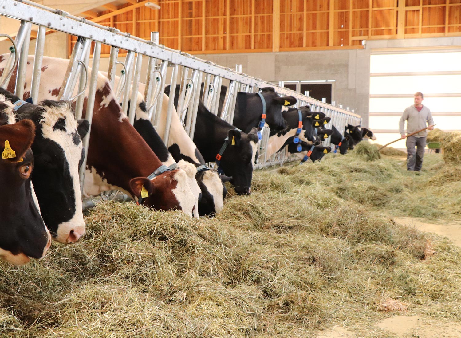Mehr Platz für Tiere